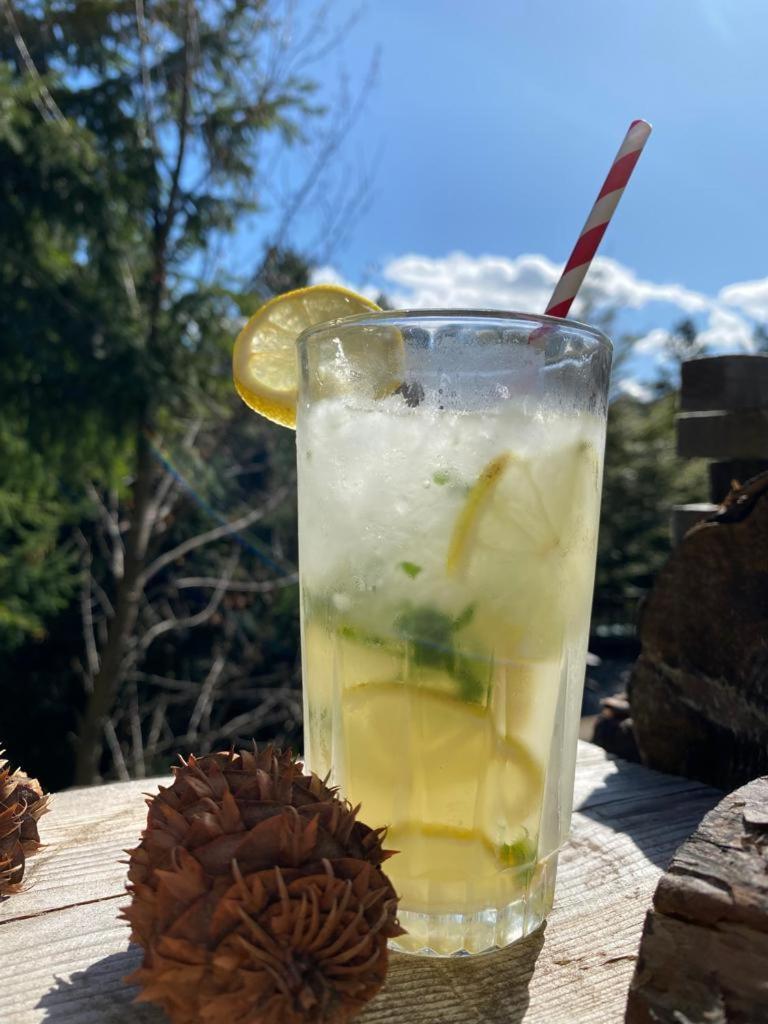 The Patagonian Lodge 科伊艾科 外观 照片