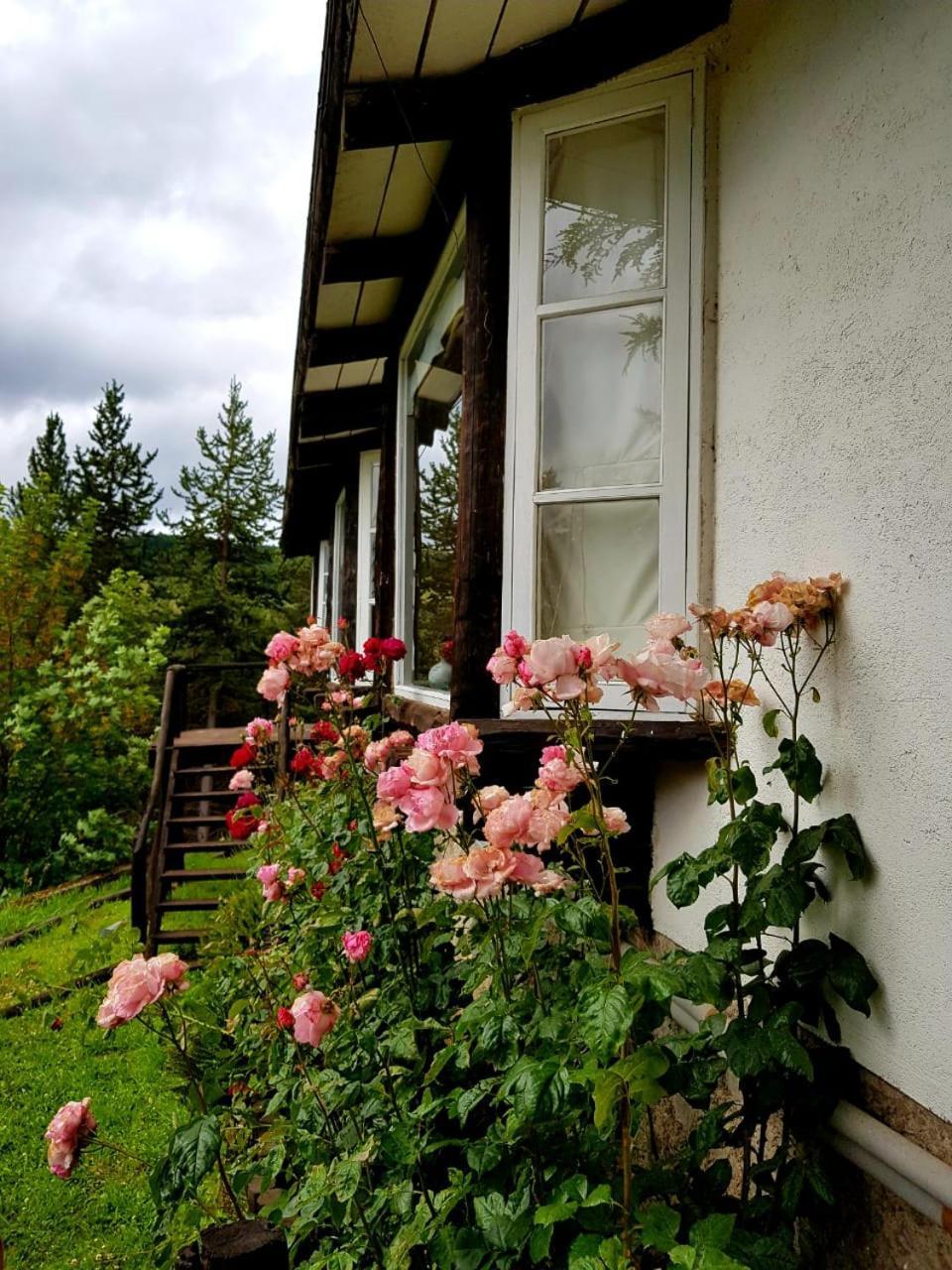 The Patagonian Lodge 科伊艾科 外观 照片